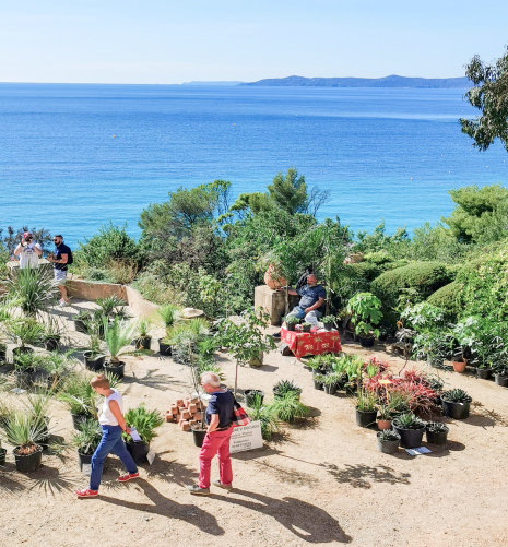 Domaine du rayol nahe dem hotel restaurant lavandou