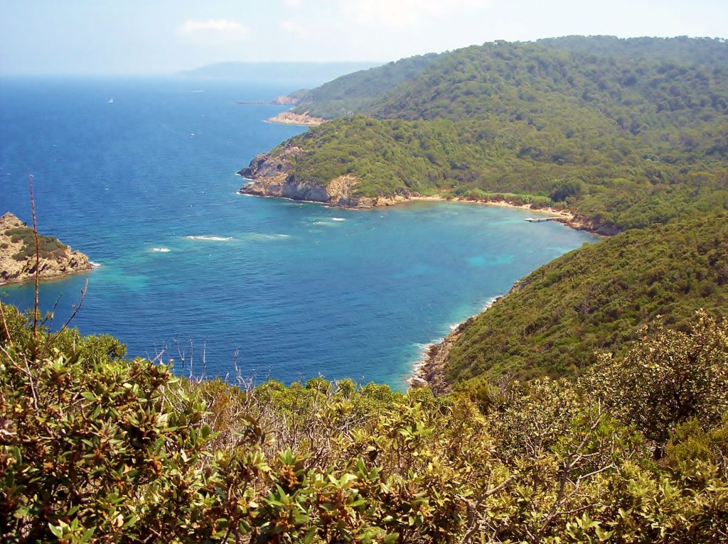 Île De Port Cros