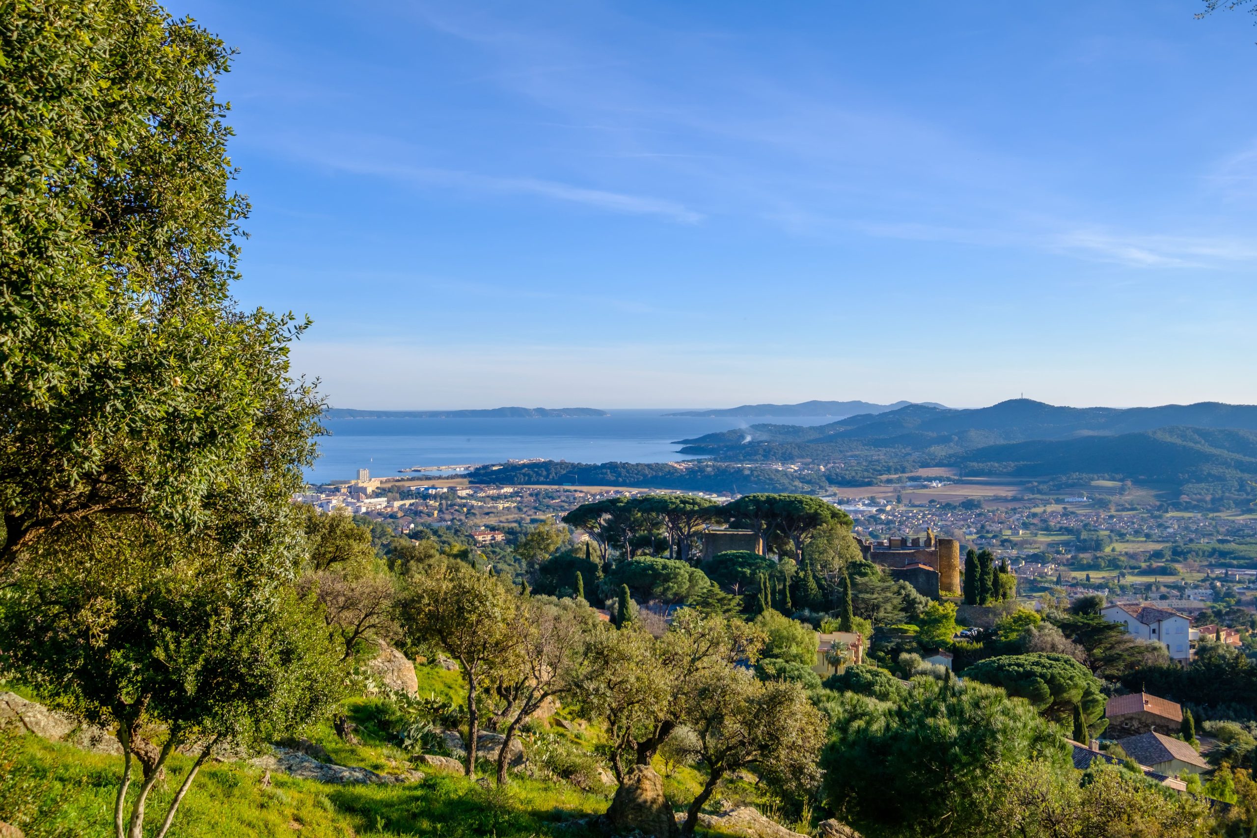 colline lavandou