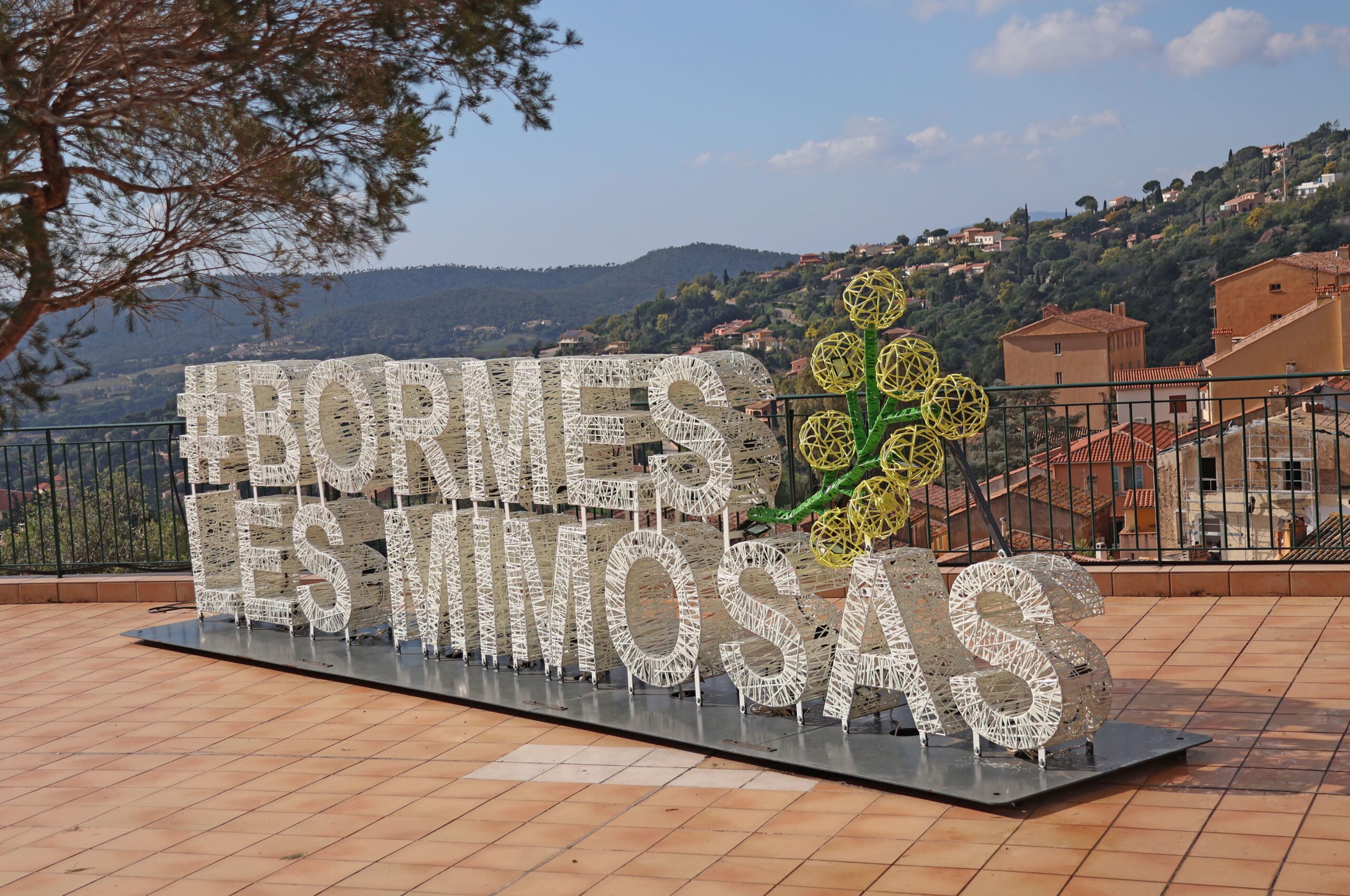 bormes les mimosas marché